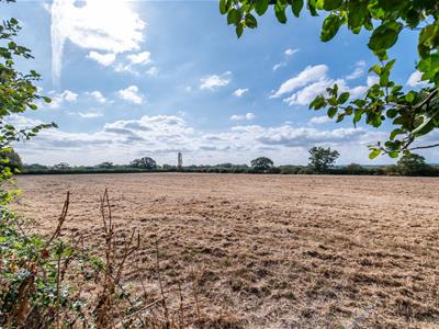 Picture 25